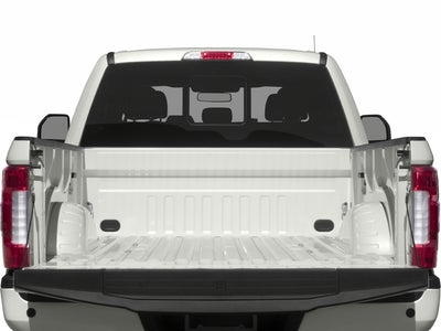 2017 Ford F-250 Platinum